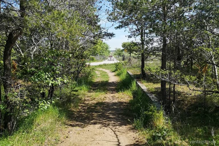 wp-16670346796938658931010670188026