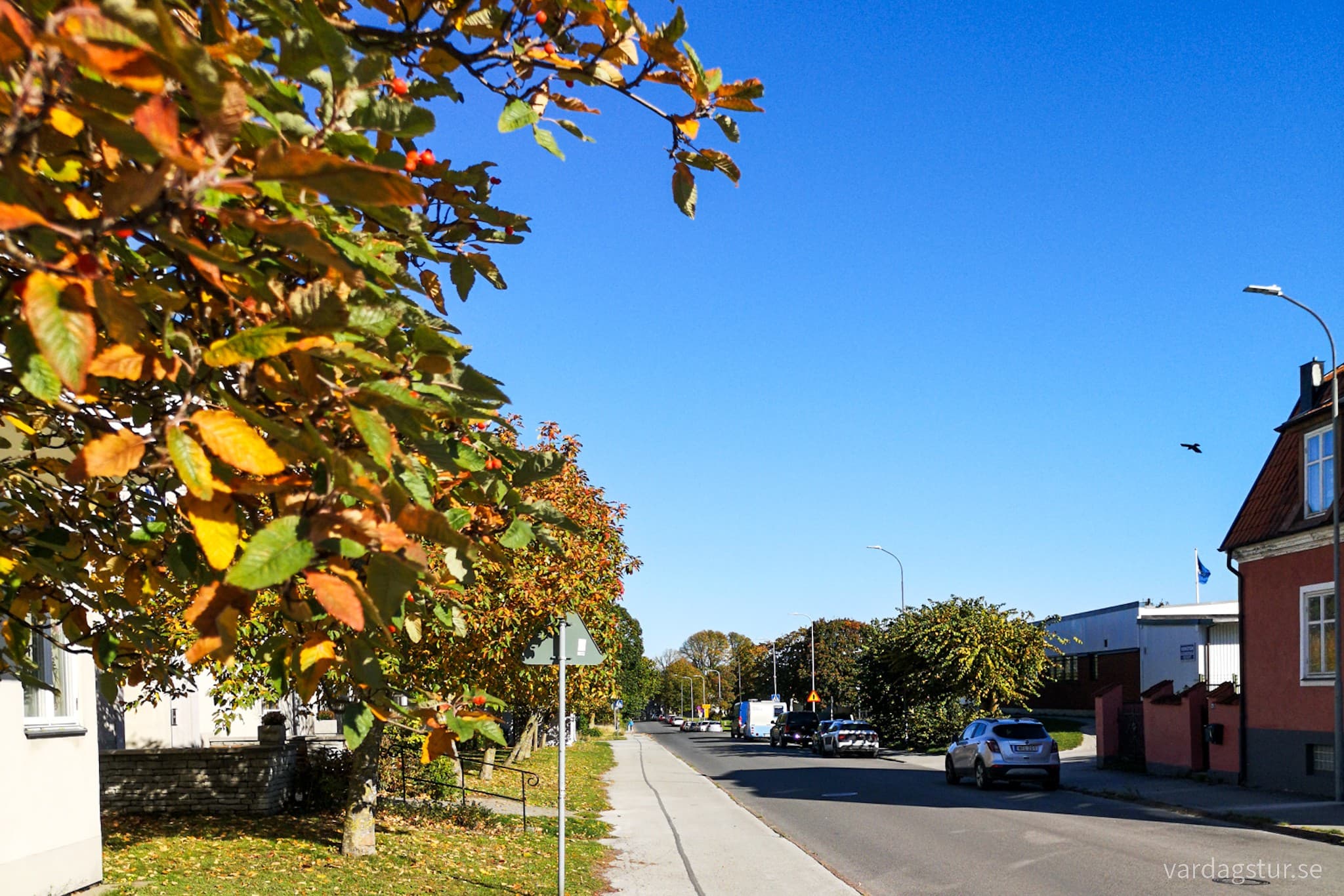 wp-1667069619392825997804785851224