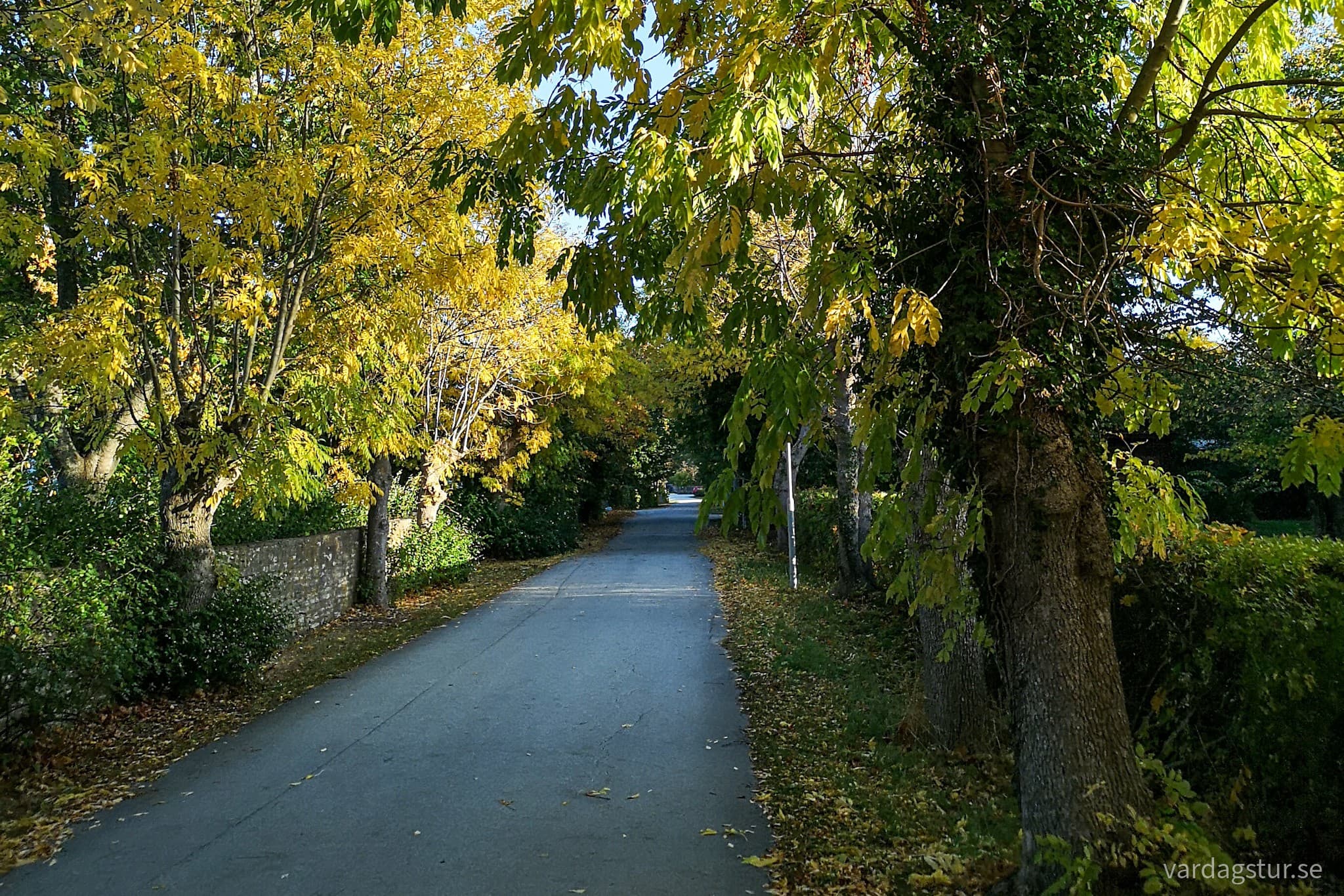 wp-16671246343993611326824517715584