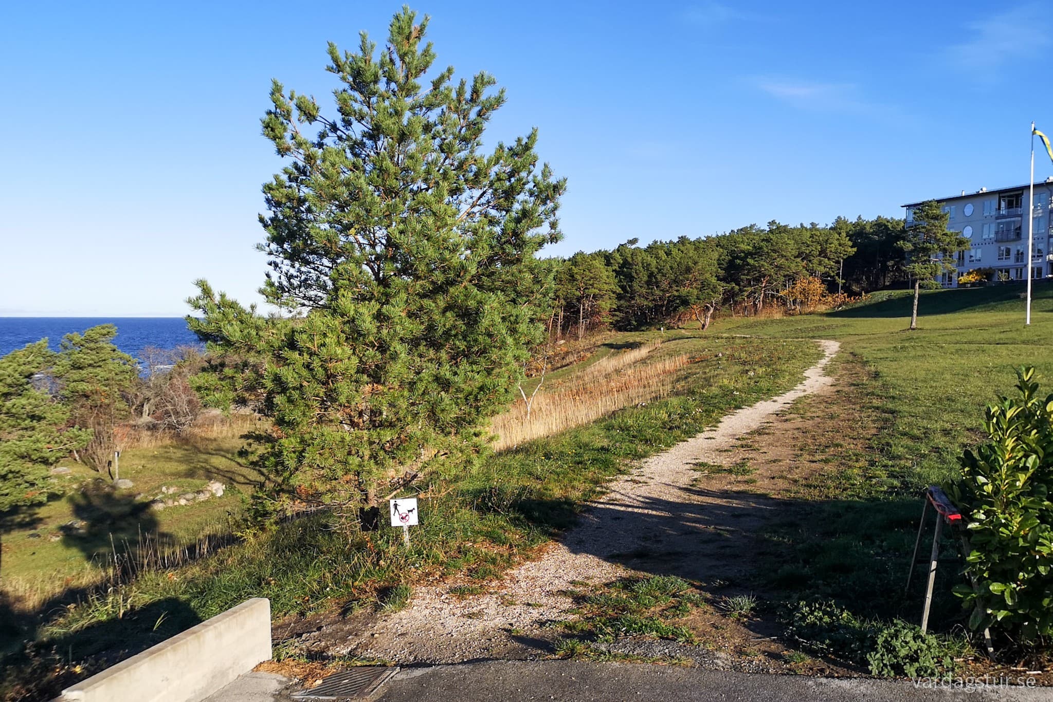 wp-16671247707754037189607671817977