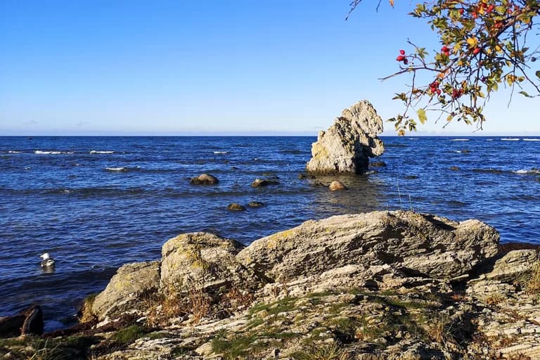 wp-1667124771355443008639108634710