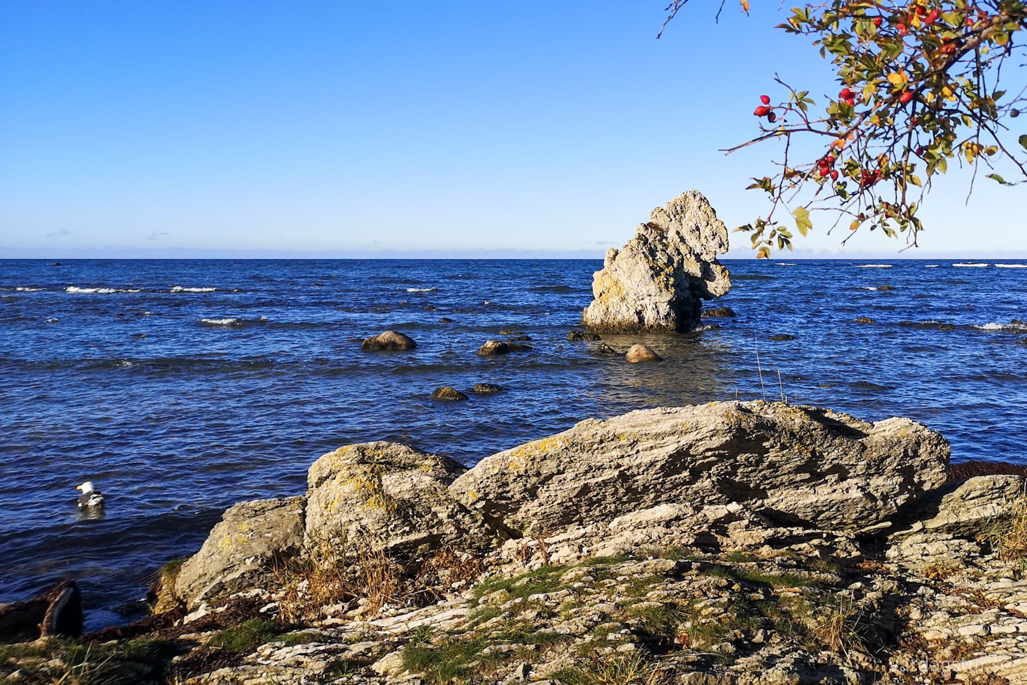 wp-1667124771355443008639108634710