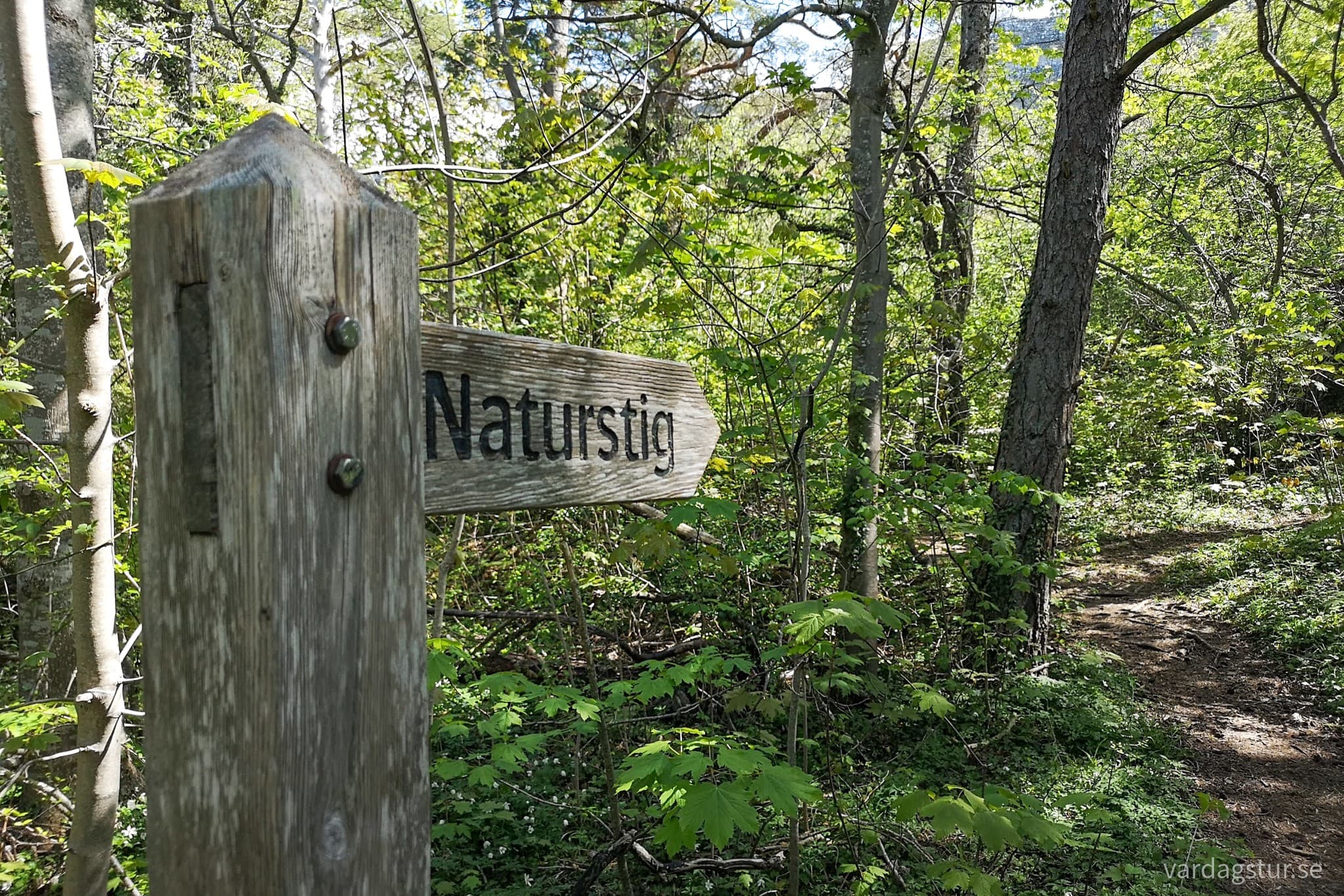 wp-16671251695665111693625066907715