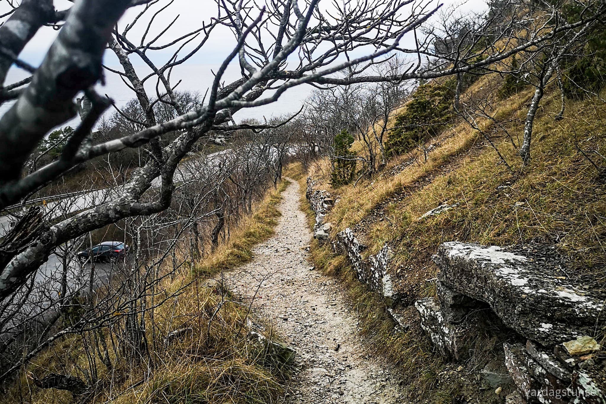 wp-16671252929232688945621238568109