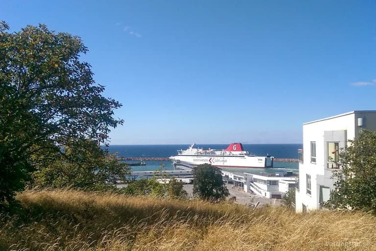 wp-16672387913362609435279339974308