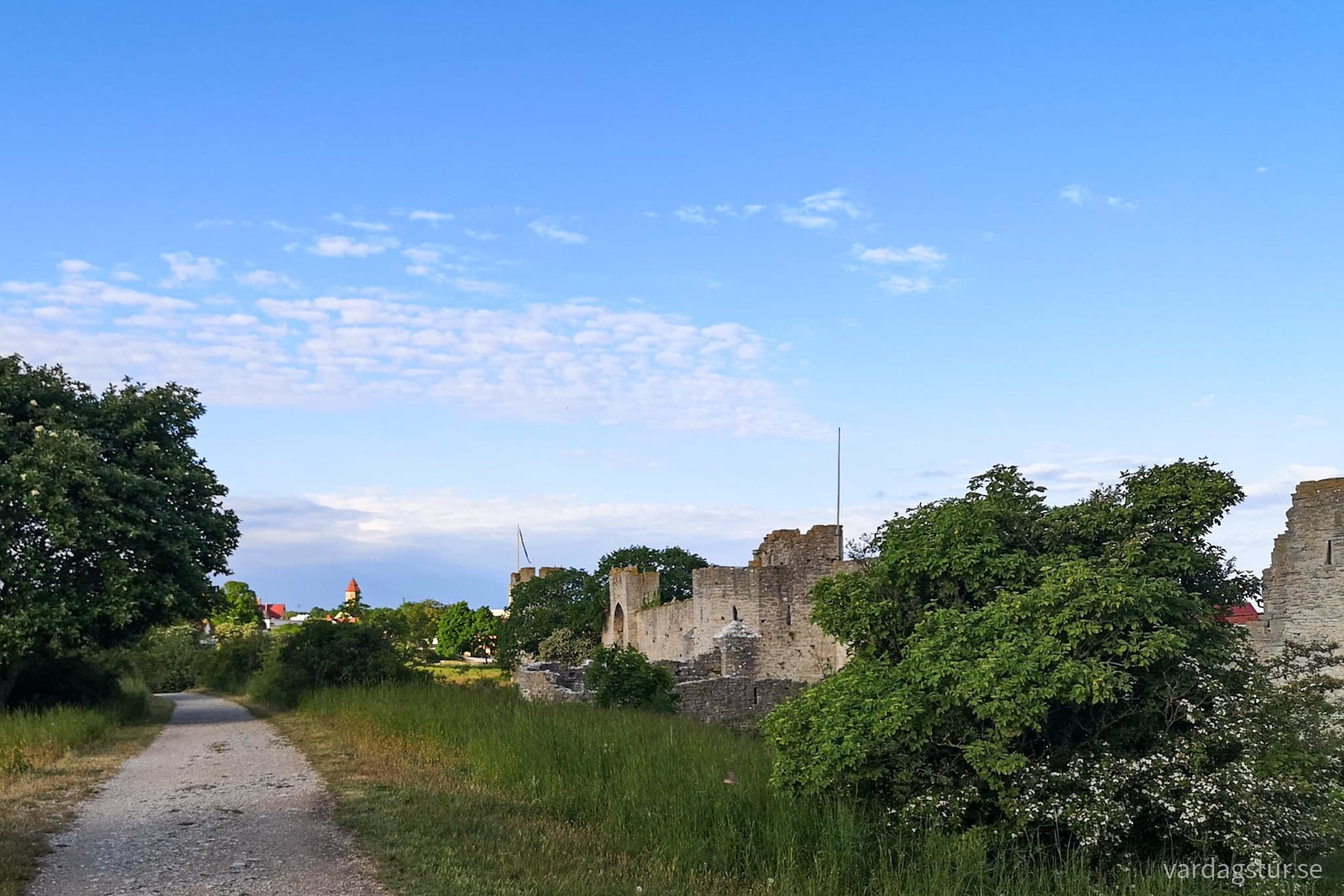 wp-1667933135280154698188721356021