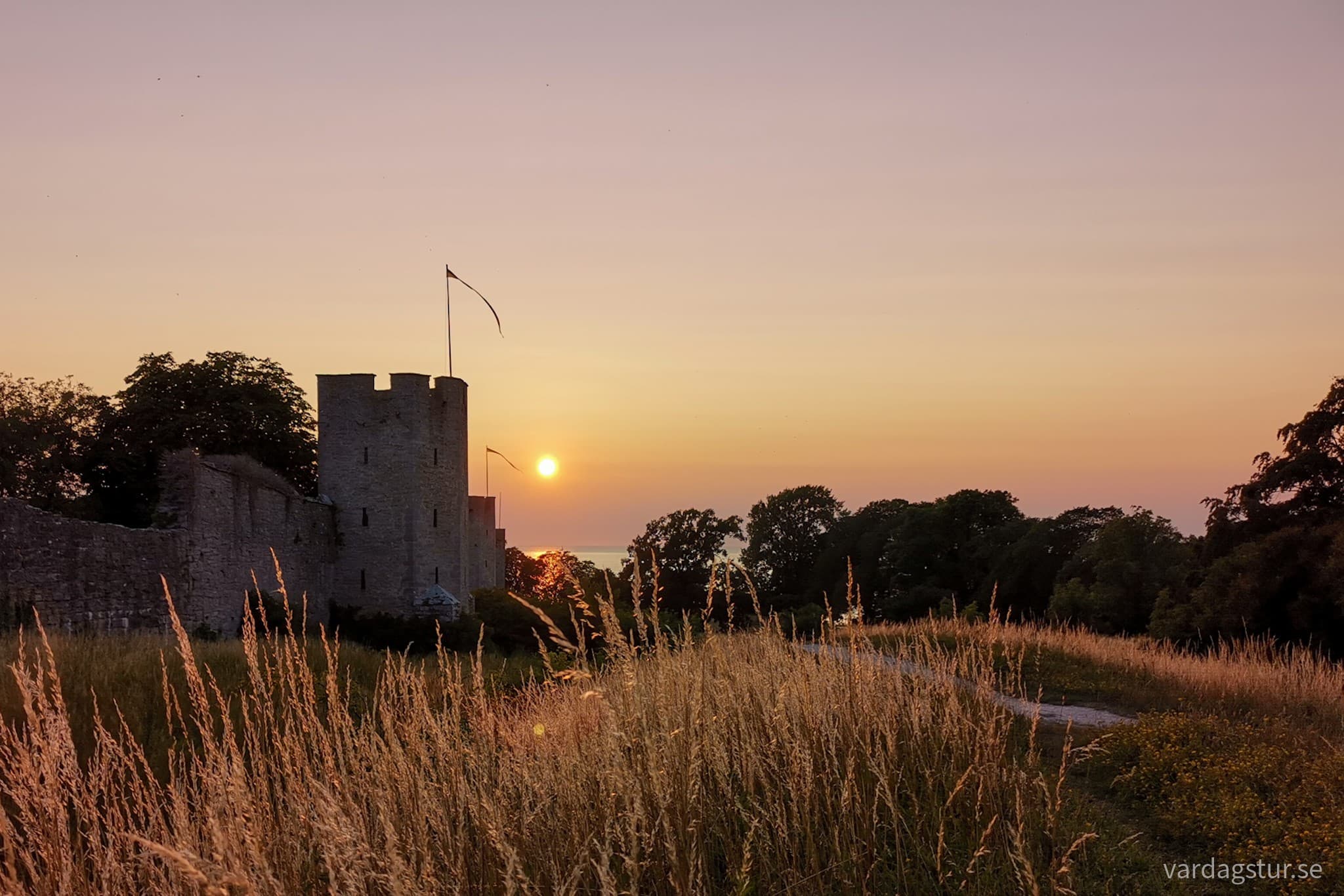 wp-16679332270104081987159267914785