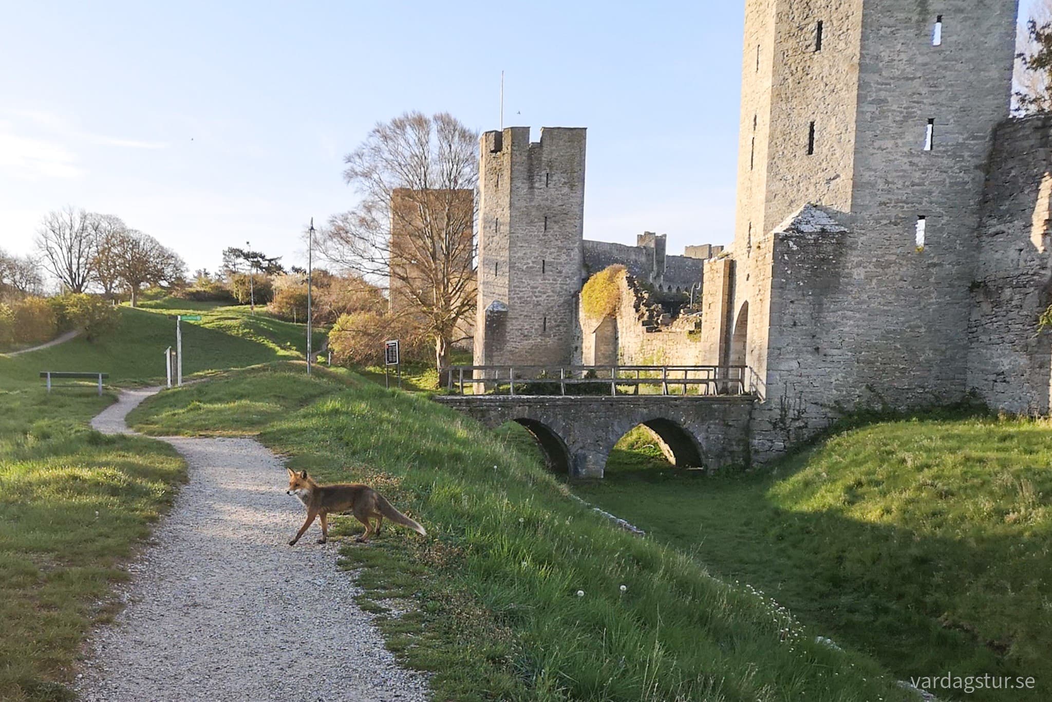 wp-16679332966151444427902529190861