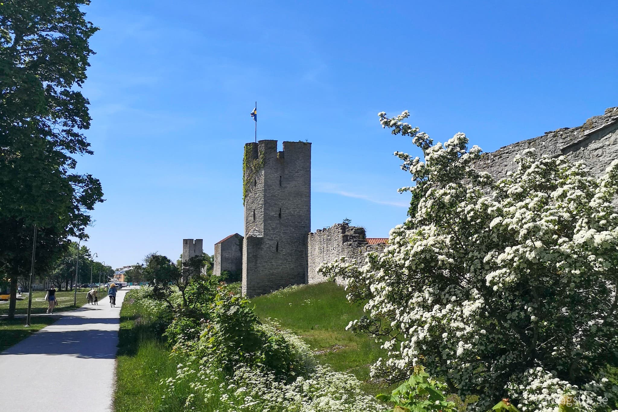 wp-16682430730982670214695095634292