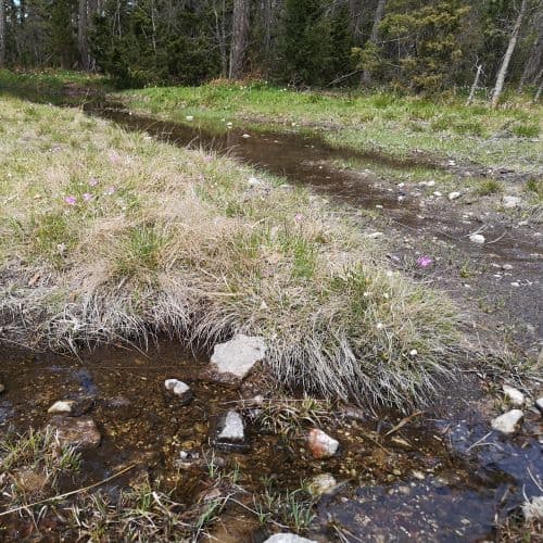 1-IMG_20200517_131420