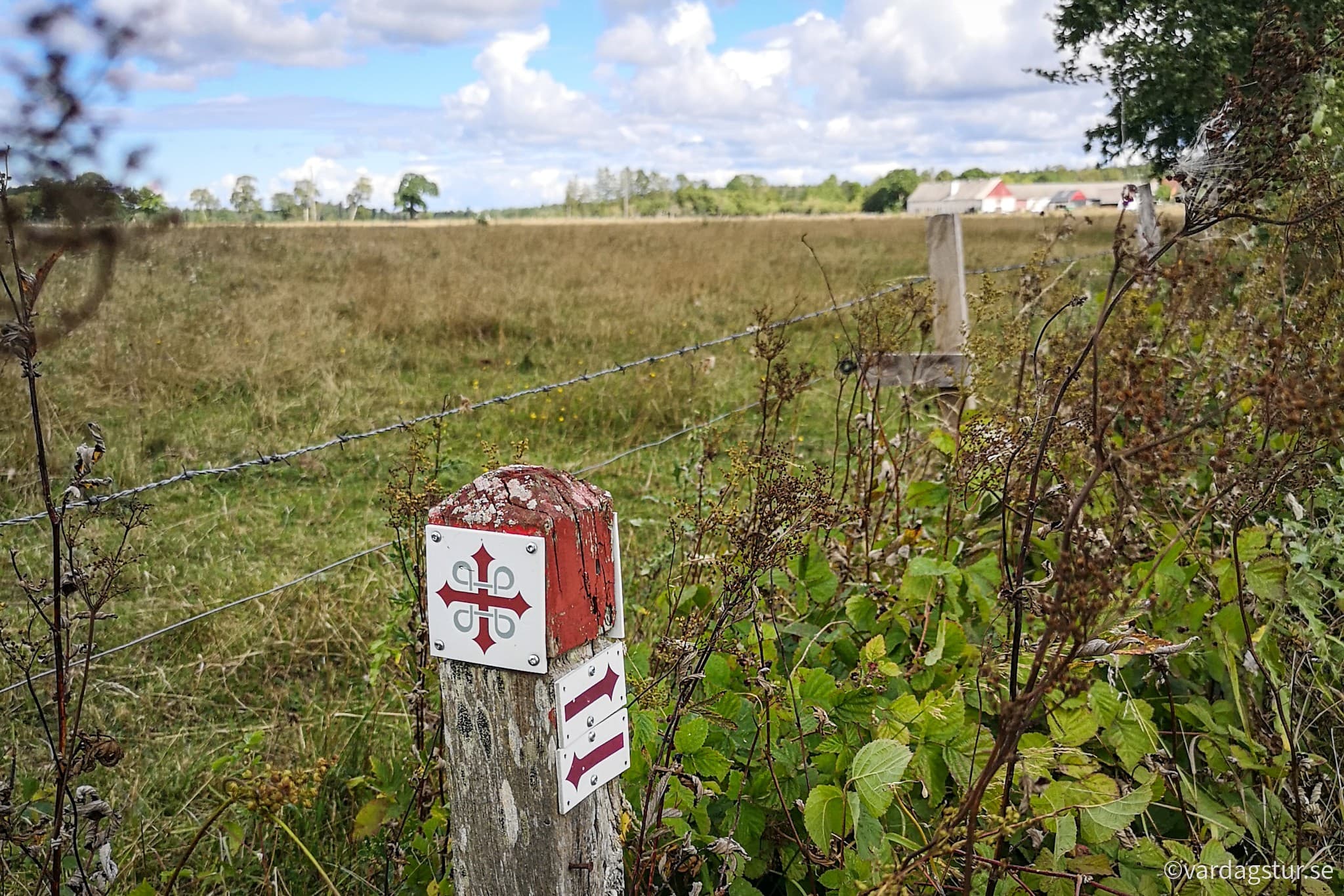 wp-16689502707486496167534689154977