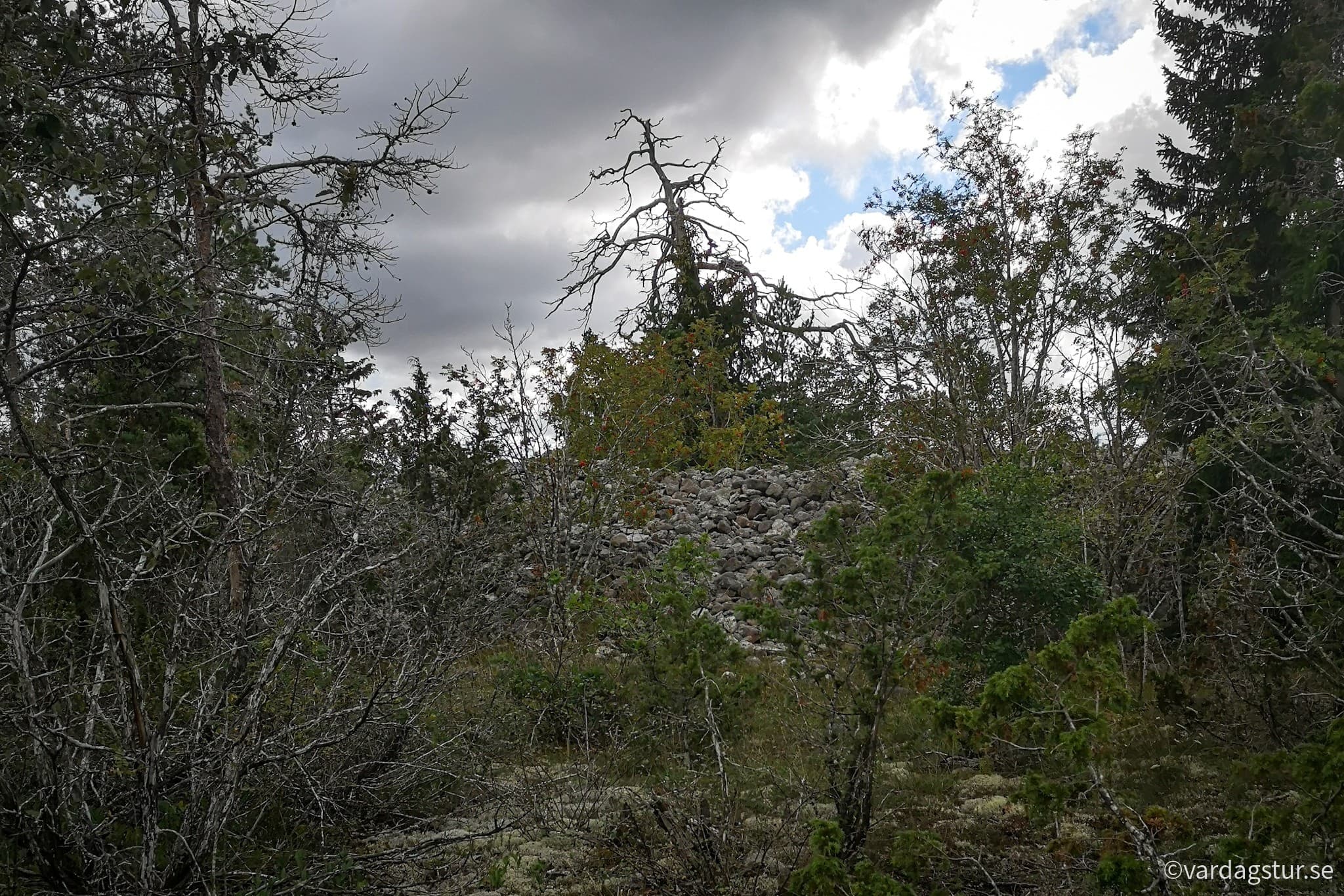 wp-16689521694047059715014785910417