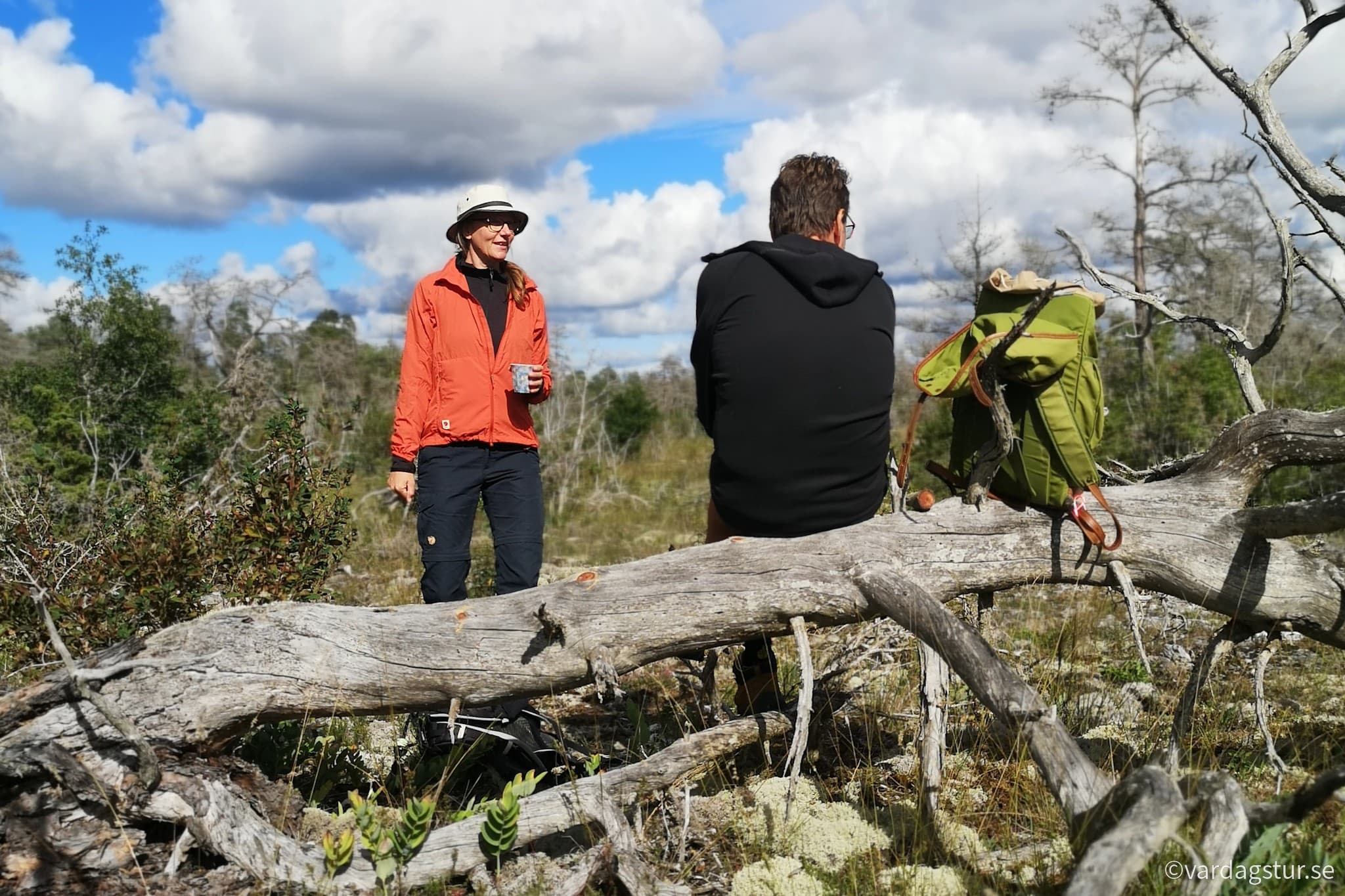 wp-16689530297438333223084510335359