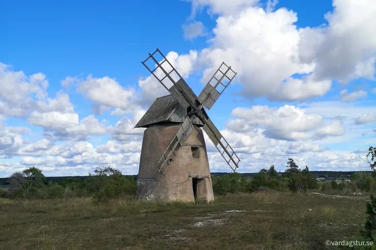 wp-1668953390905755000302598169769