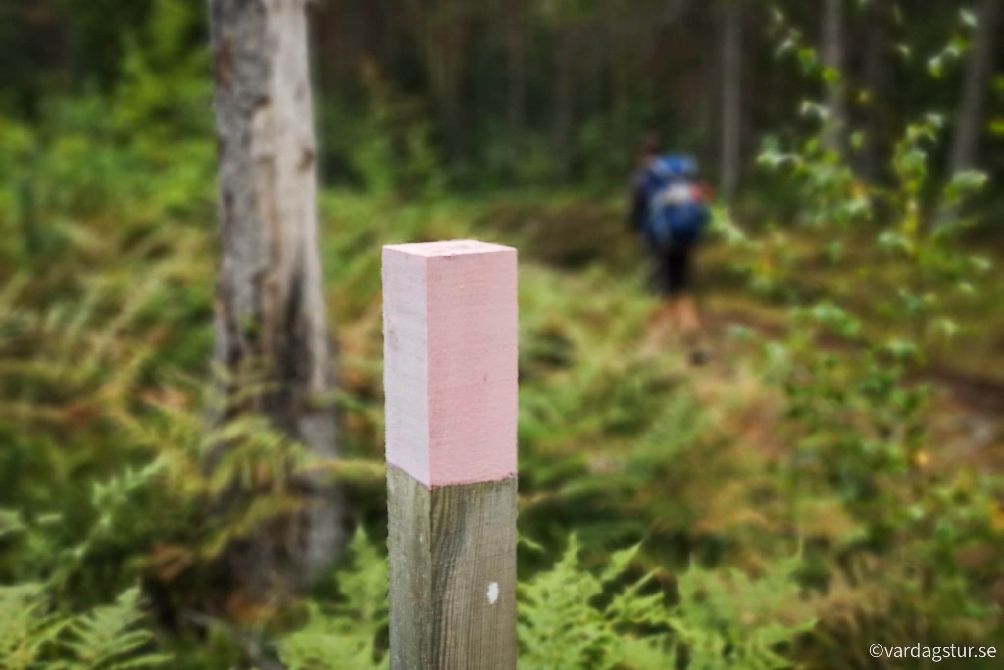 wp-16694492665881613198217533057520