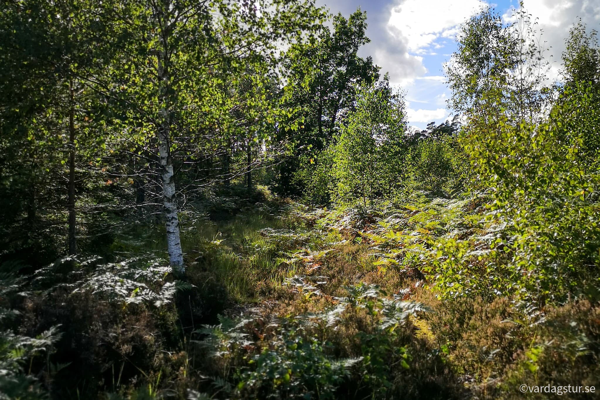 wp-16694529965405469494705753610030