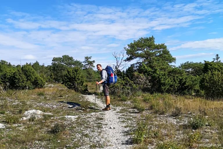 wp-16695752428551778547985146965390