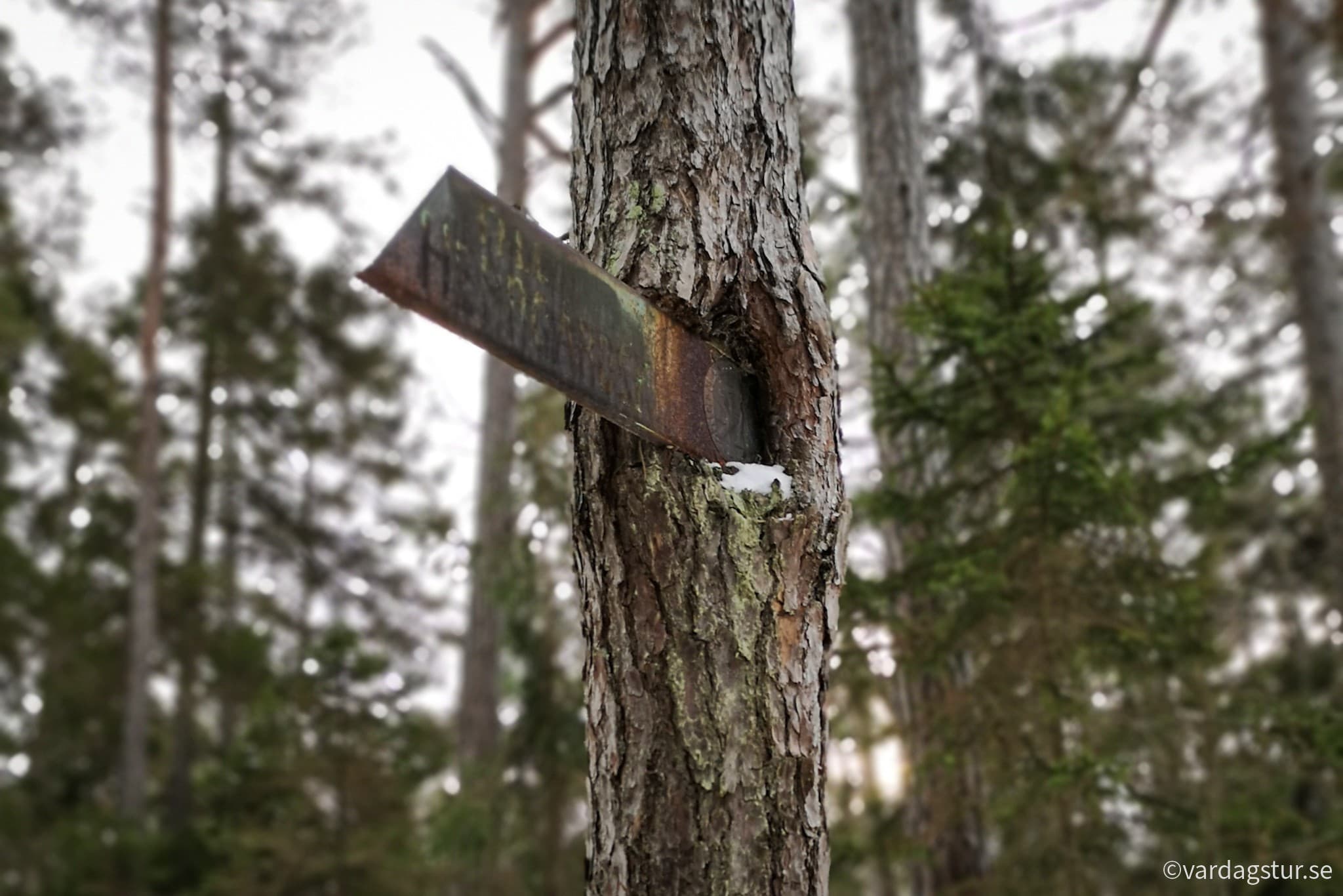 wp-16696623281001239854560494717823