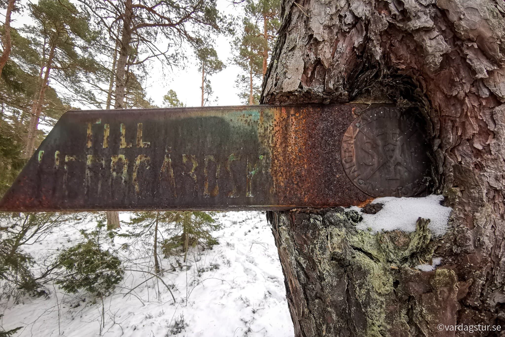 wp-16696623282672377991847034129891