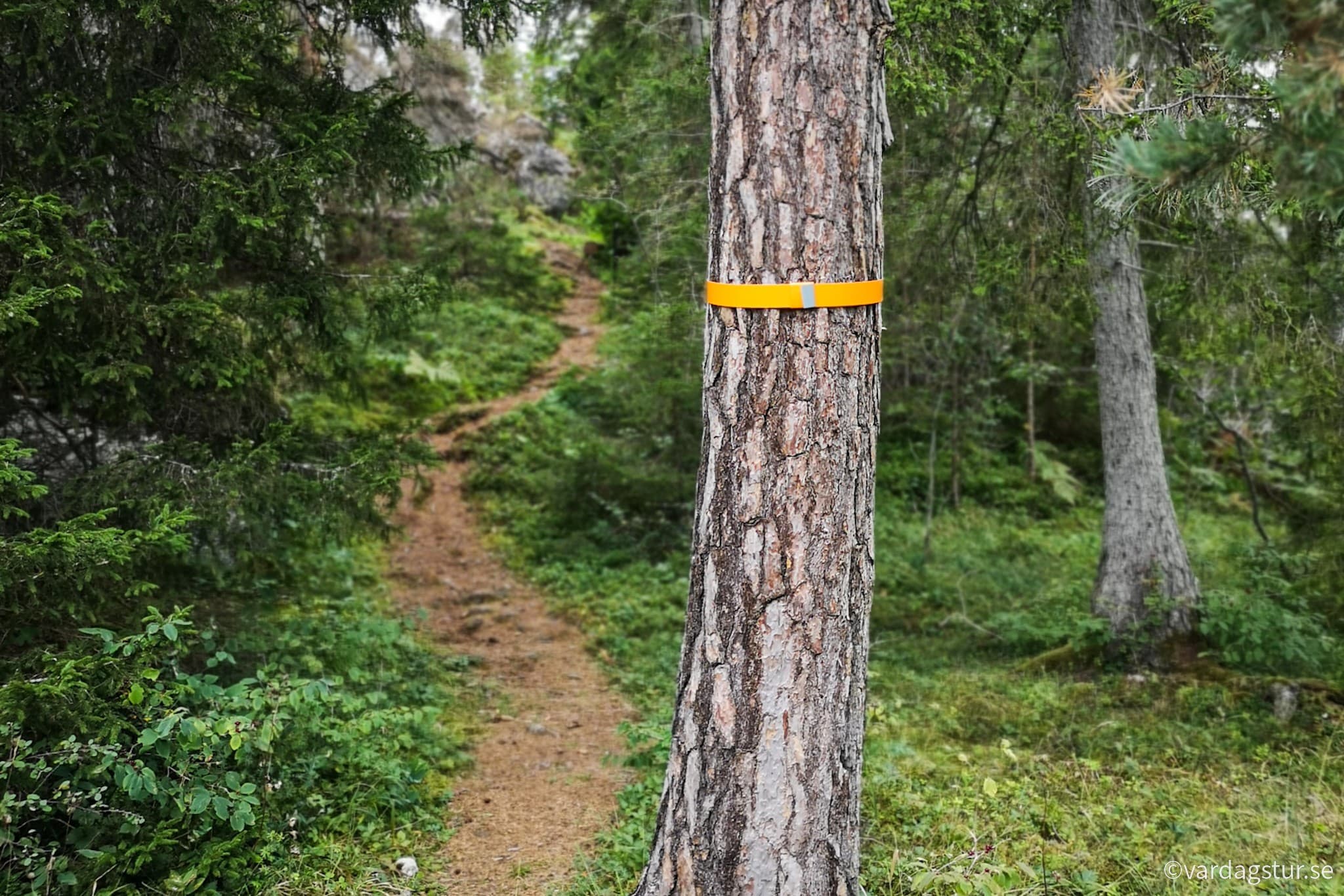 wp-16696624670252980421083728993593