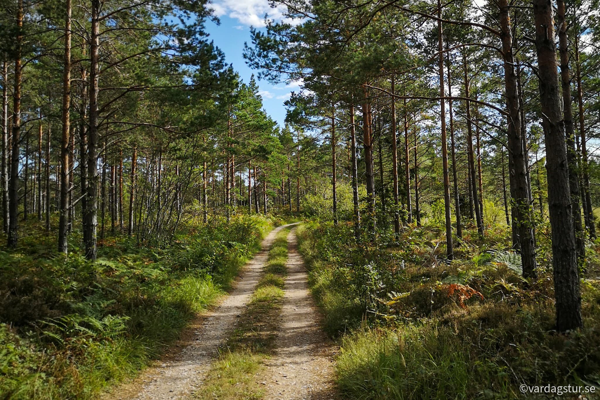 wp-16696624671995201258075600890866