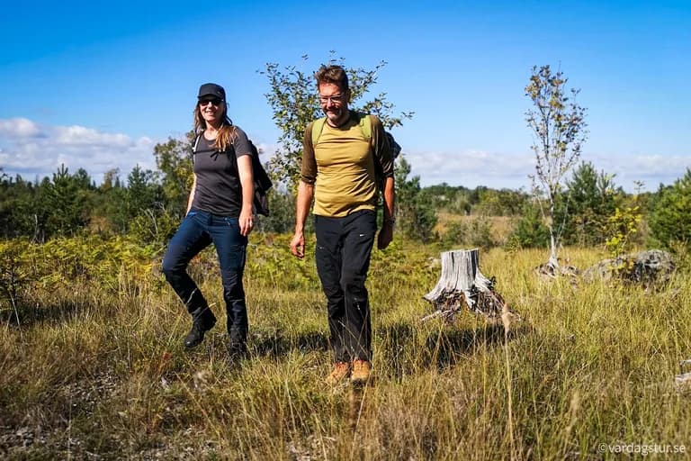 wp-16699212860204800165540449081617