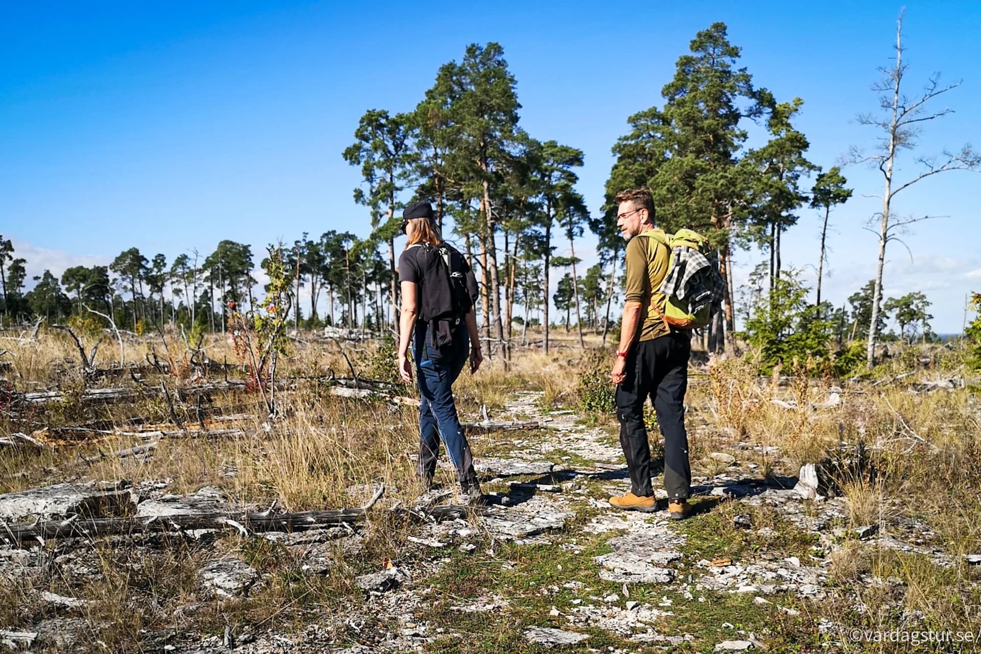 wp-16699212854783792370161170557614