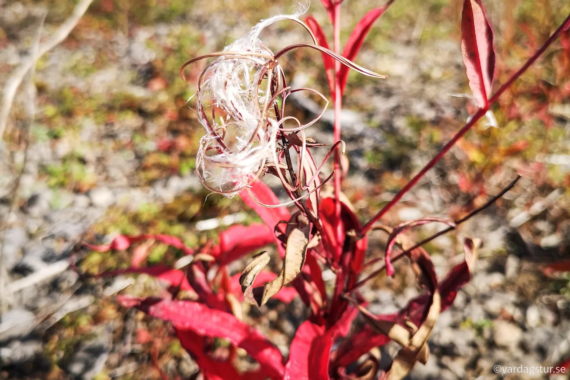 wp-16699996230953128535920293258208