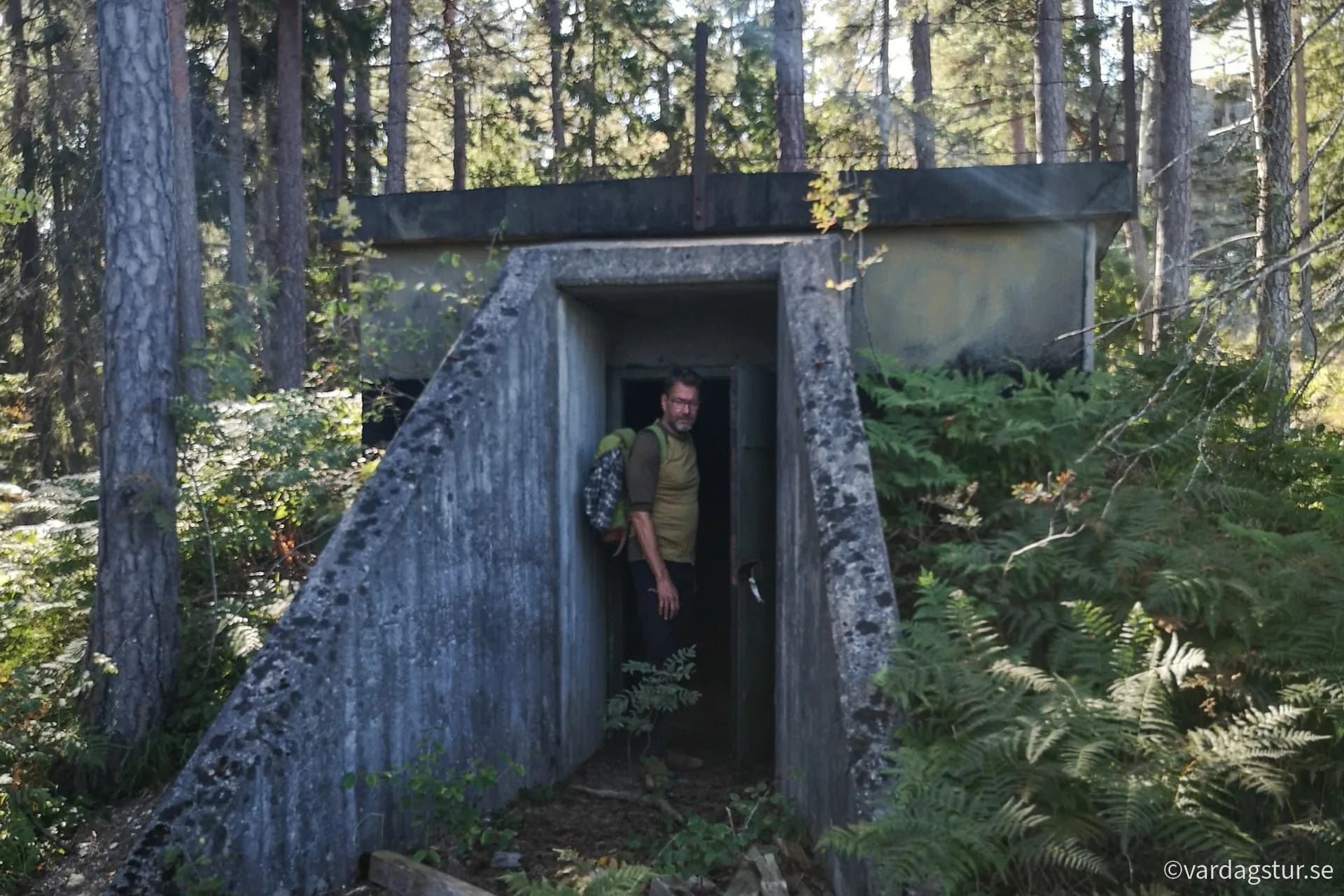 wp-16700012244921993453415076016501