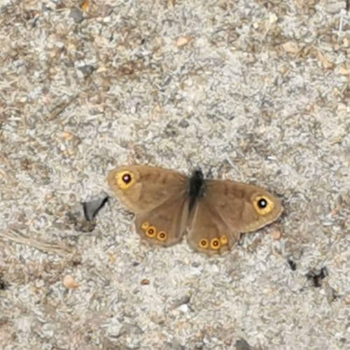 1-IMG_20200517_131638