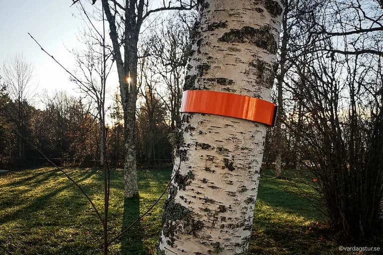 wp-16701510387484158210204978475304