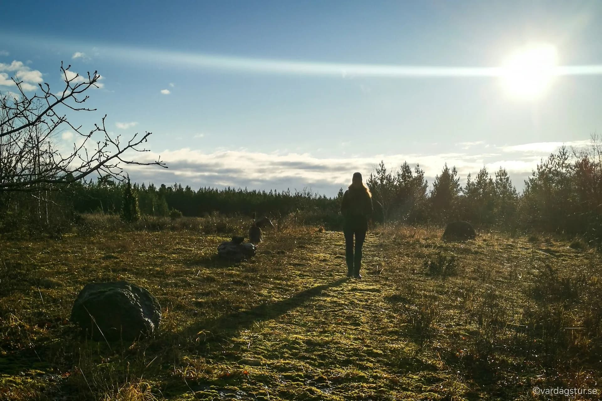 wp-16701511023987114585863904120332