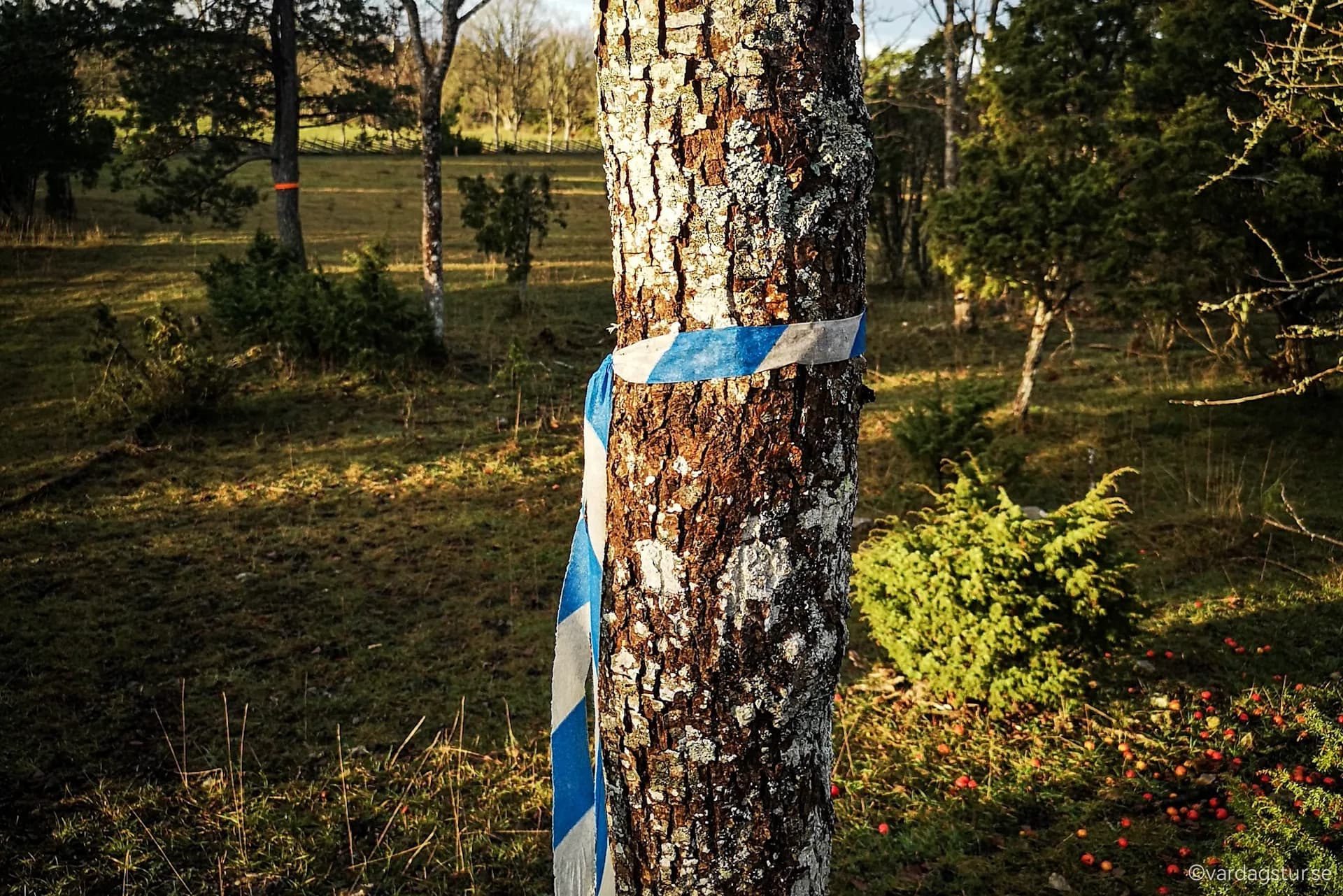 wp-1670151150304723730167444927410