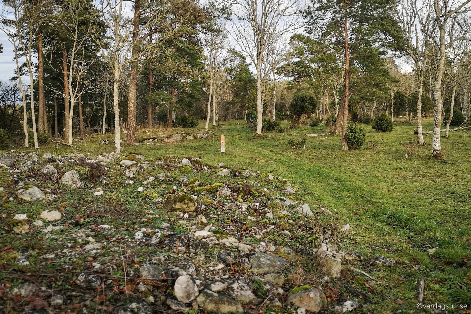 wp-16701533260473335337575044685292