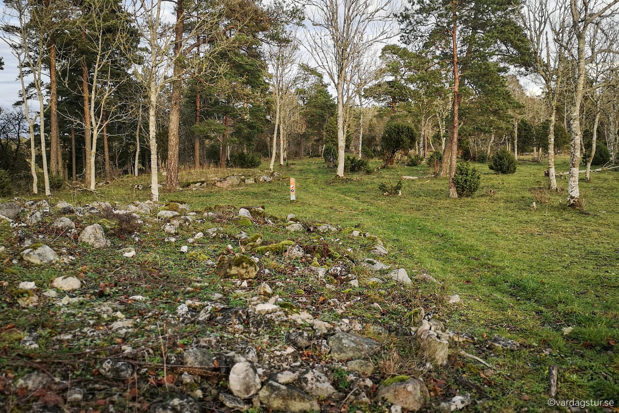 wp-16701533260473335337575044685292