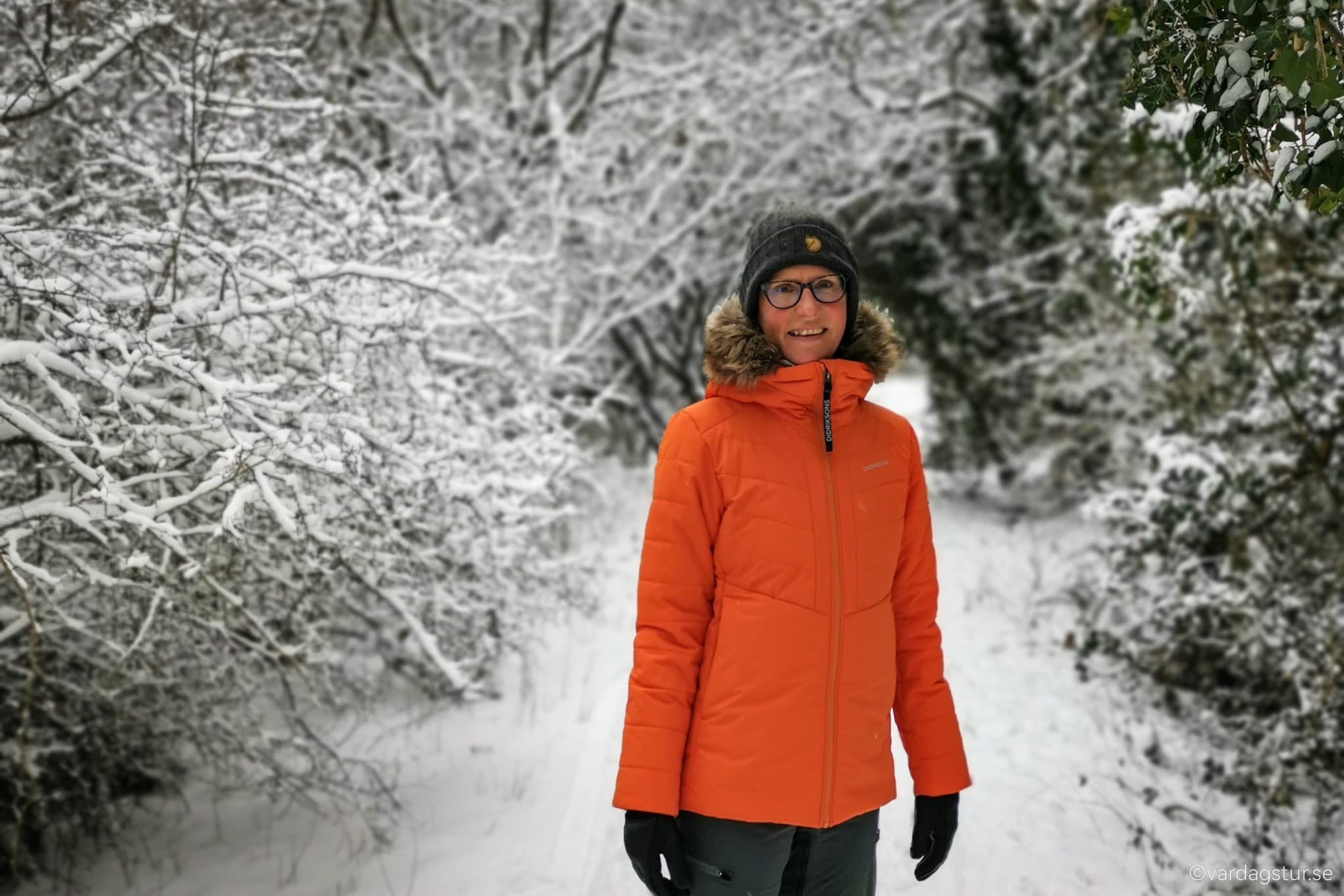 wp-16702641048321453645190677898494