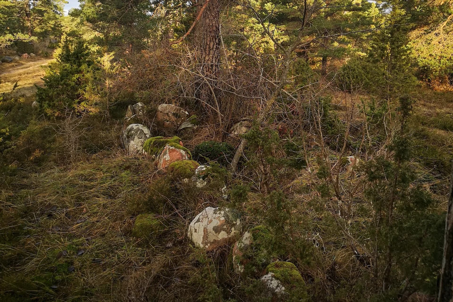 wp-16730824781332585128459675632600