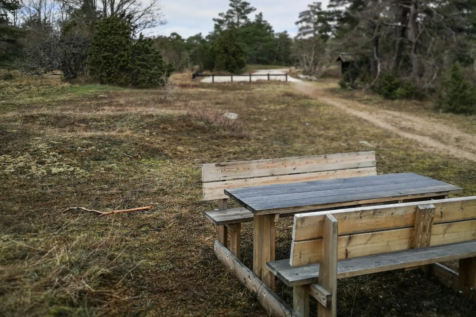 wp-16730871341841538634415377794693