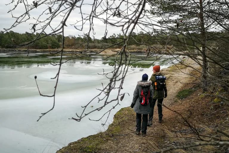 wp-16730881538046115342057154267151