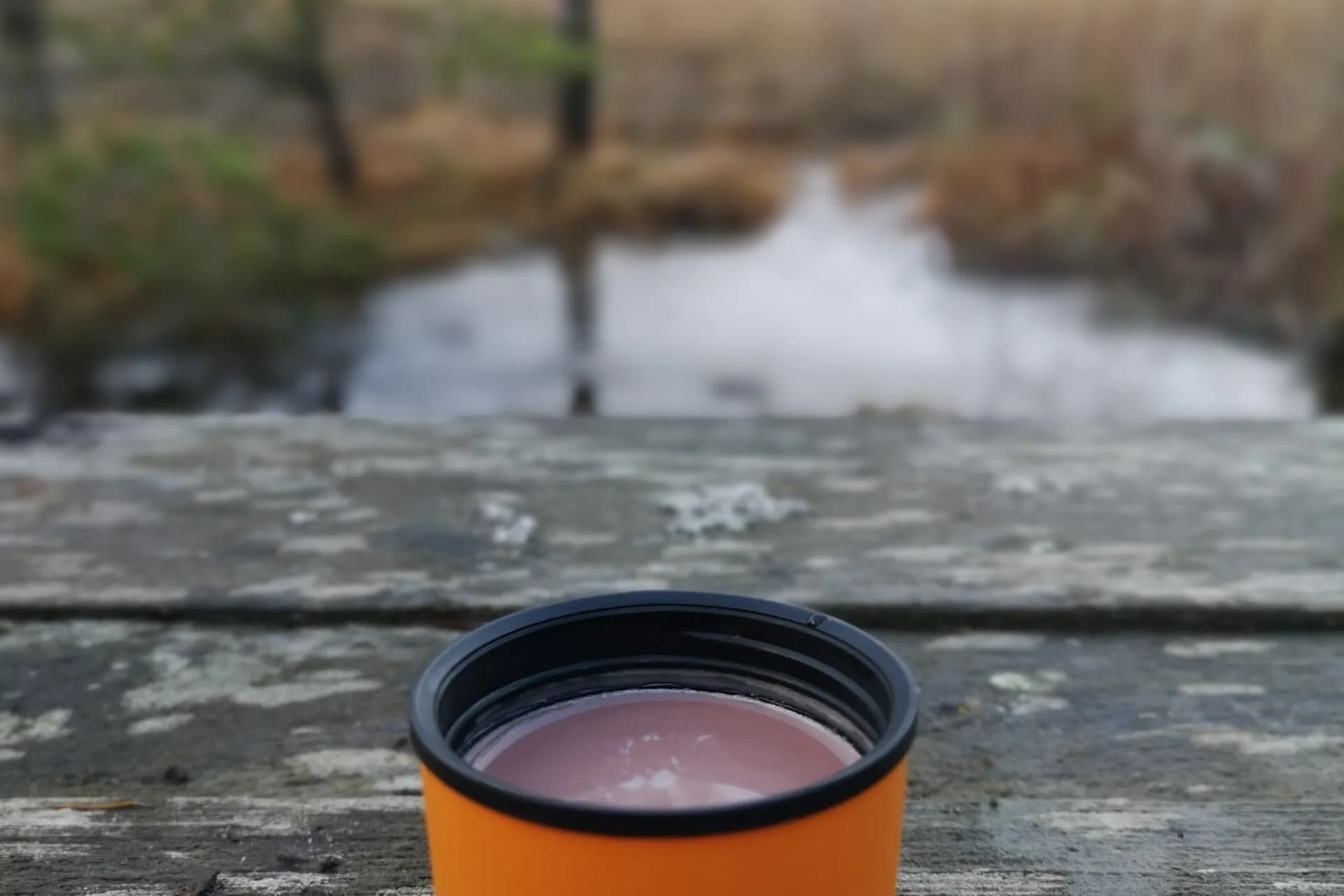 wp-1673089912832468454456677168619