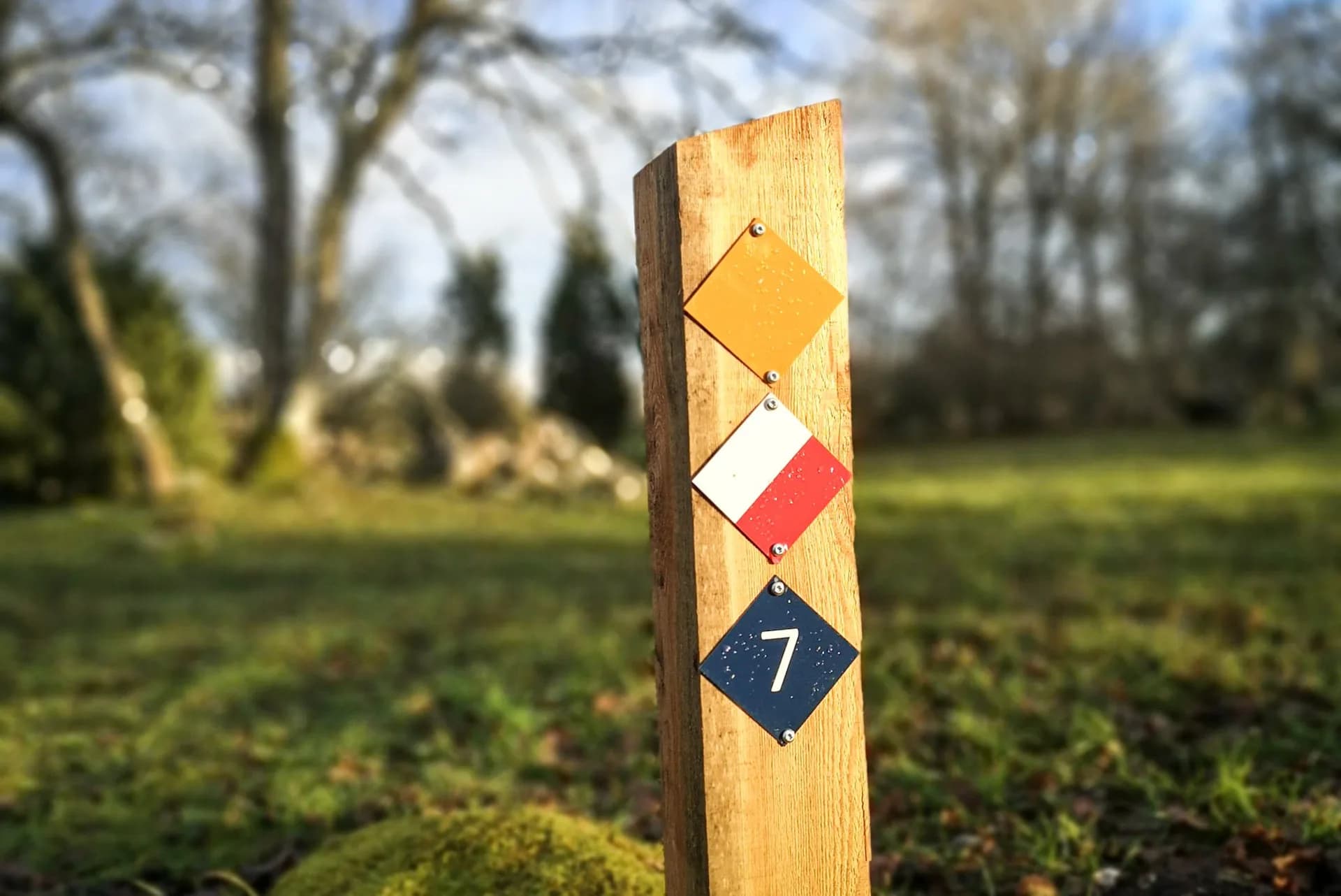 wp-16738930825392152832445746818246