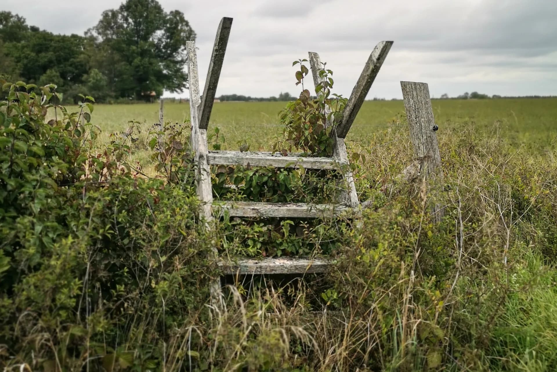 wp-16739884142443844620916878800964