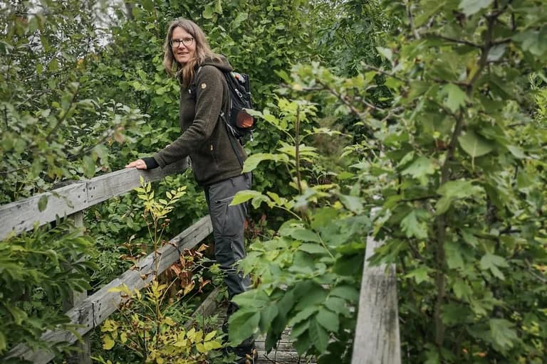 wp-16739884148128474721607641190419