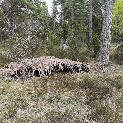 1-IMG_20200517_140923