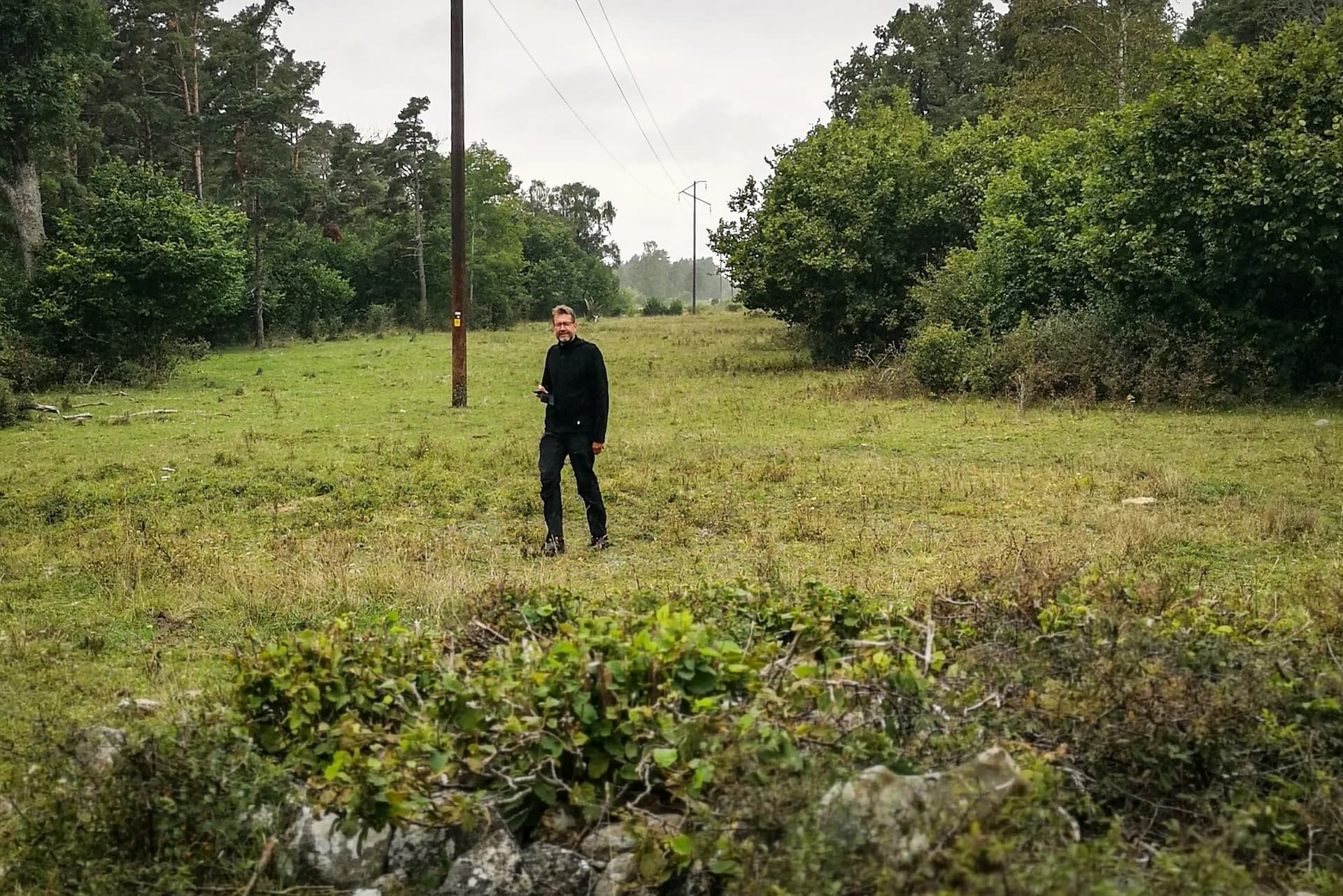 wp-16740634069416624301534902303976