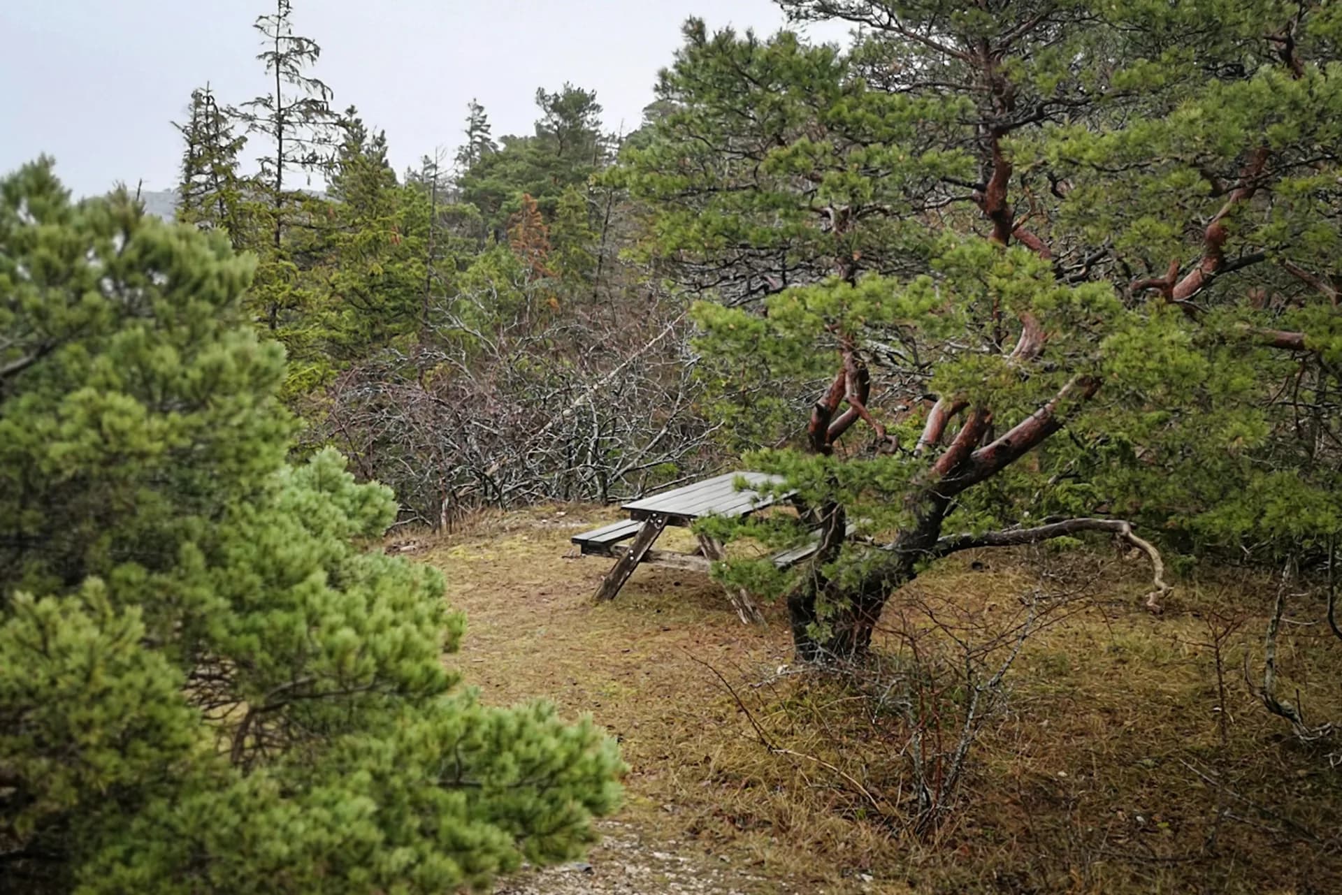 wp-16761266213651367538581379205784