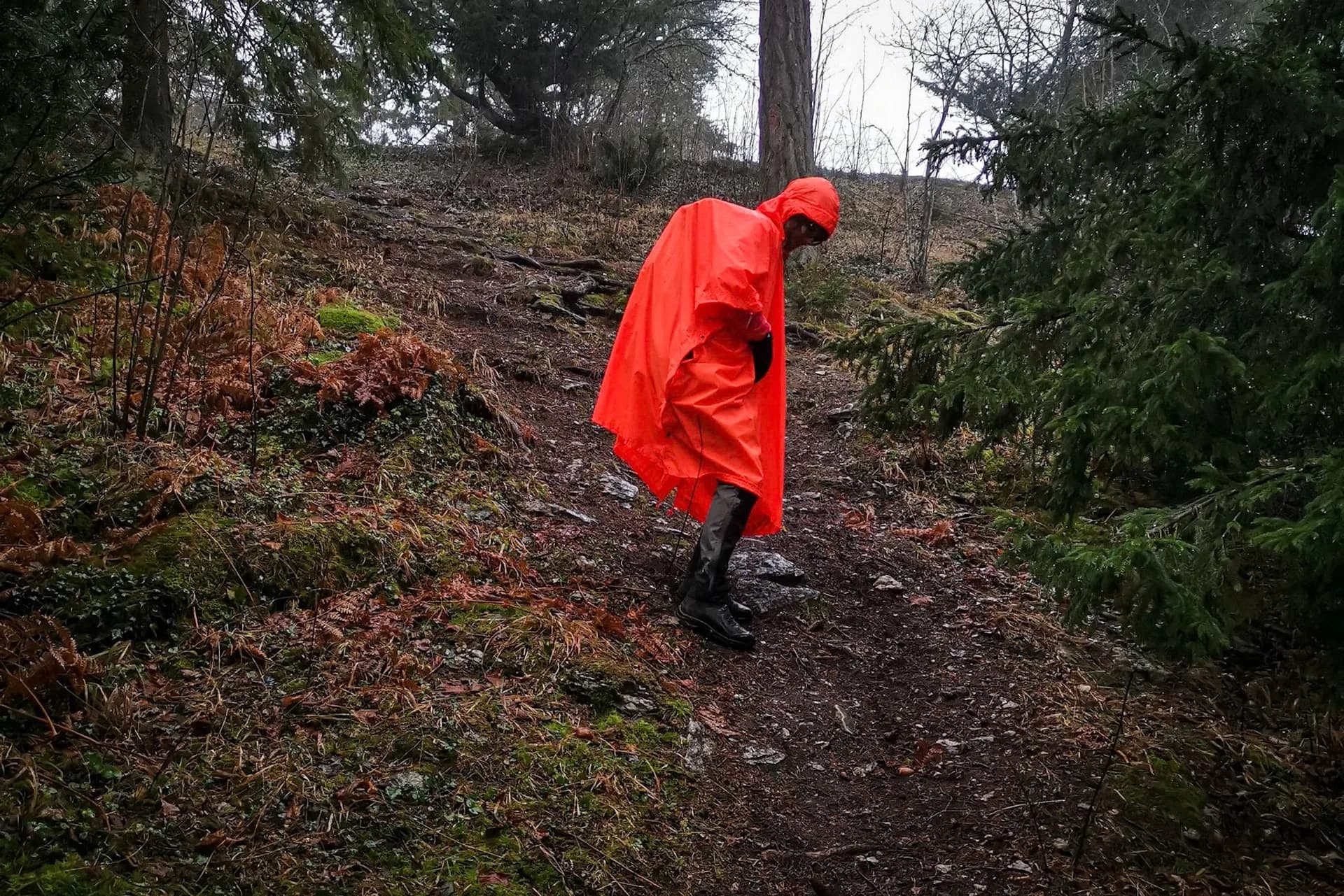 wp-1676126621140453209070525083751