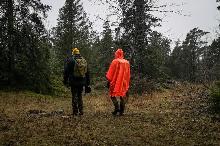 wp-16761297011492630706491808638444