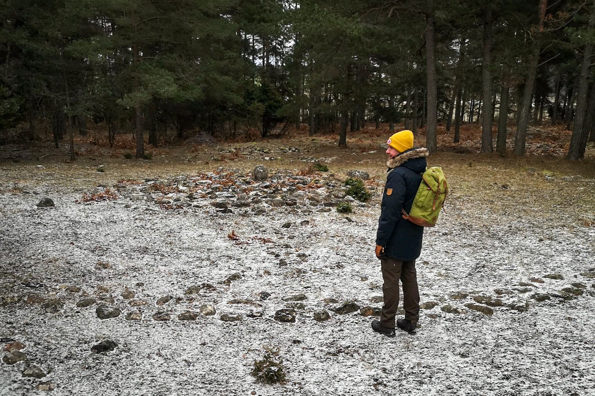 wp-16764872209405886123428774219329