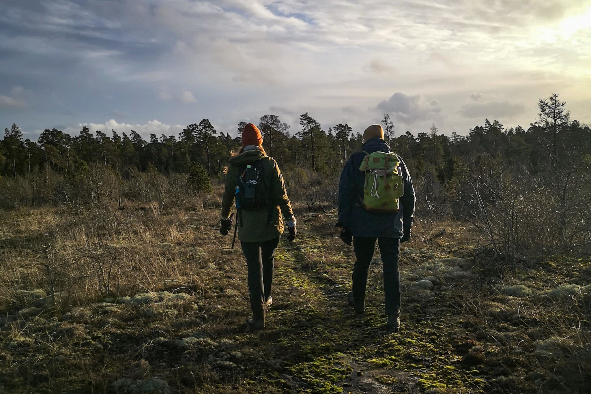 wp-16765638647444666315532263587189